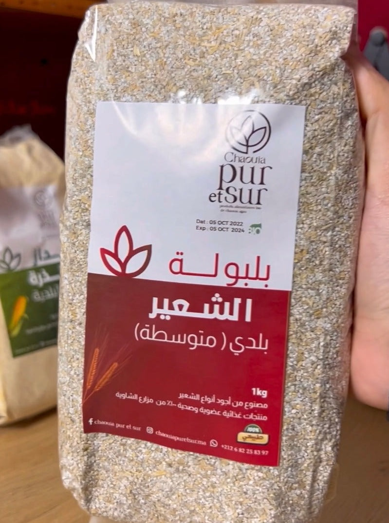 بلبولة الشعير البلدي (متوسطة)