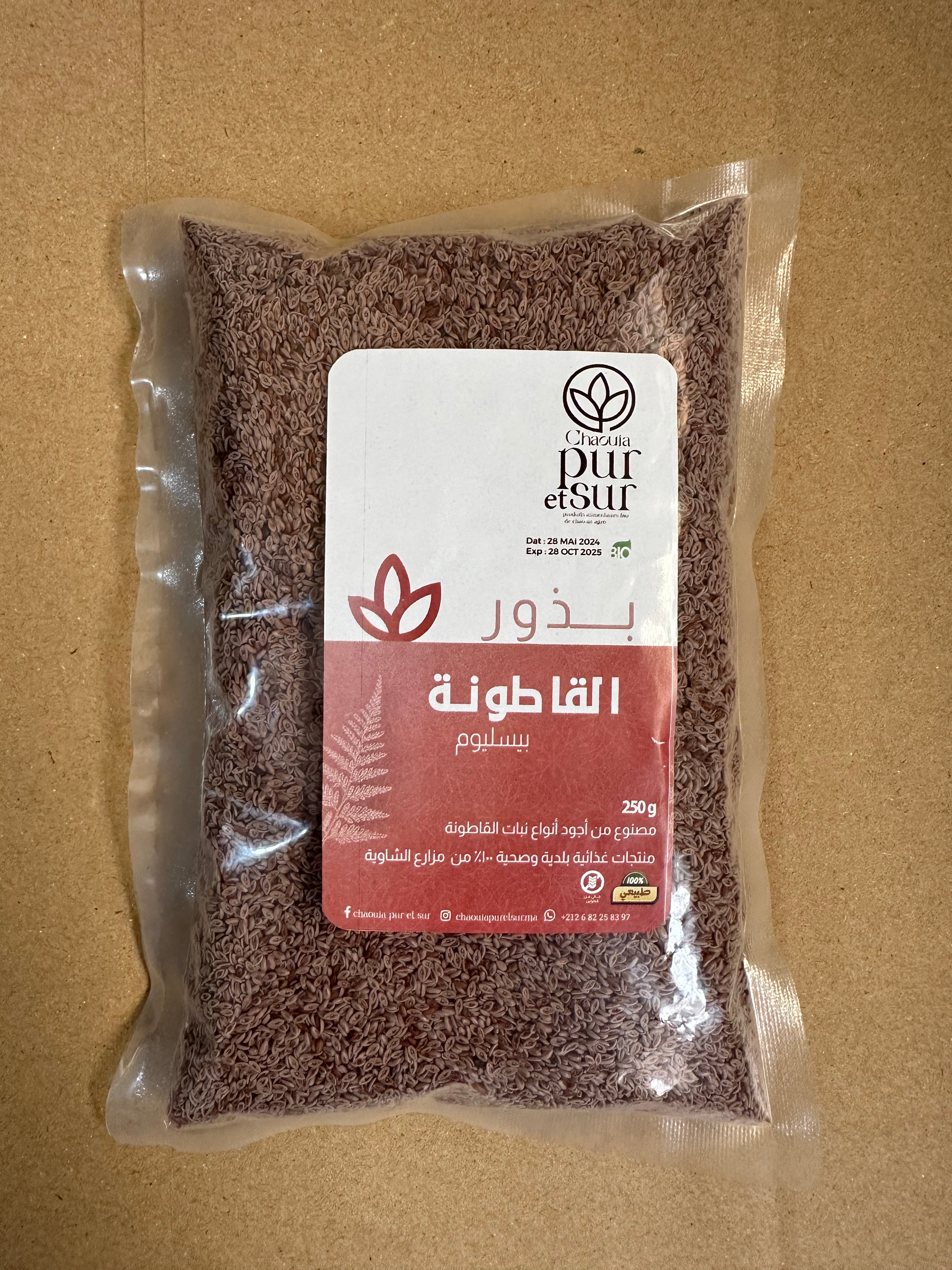 بدور القاطونة (بسيليوم)