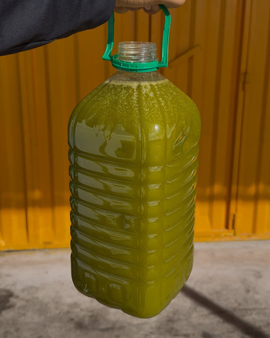 زيت الزيتون البلدية