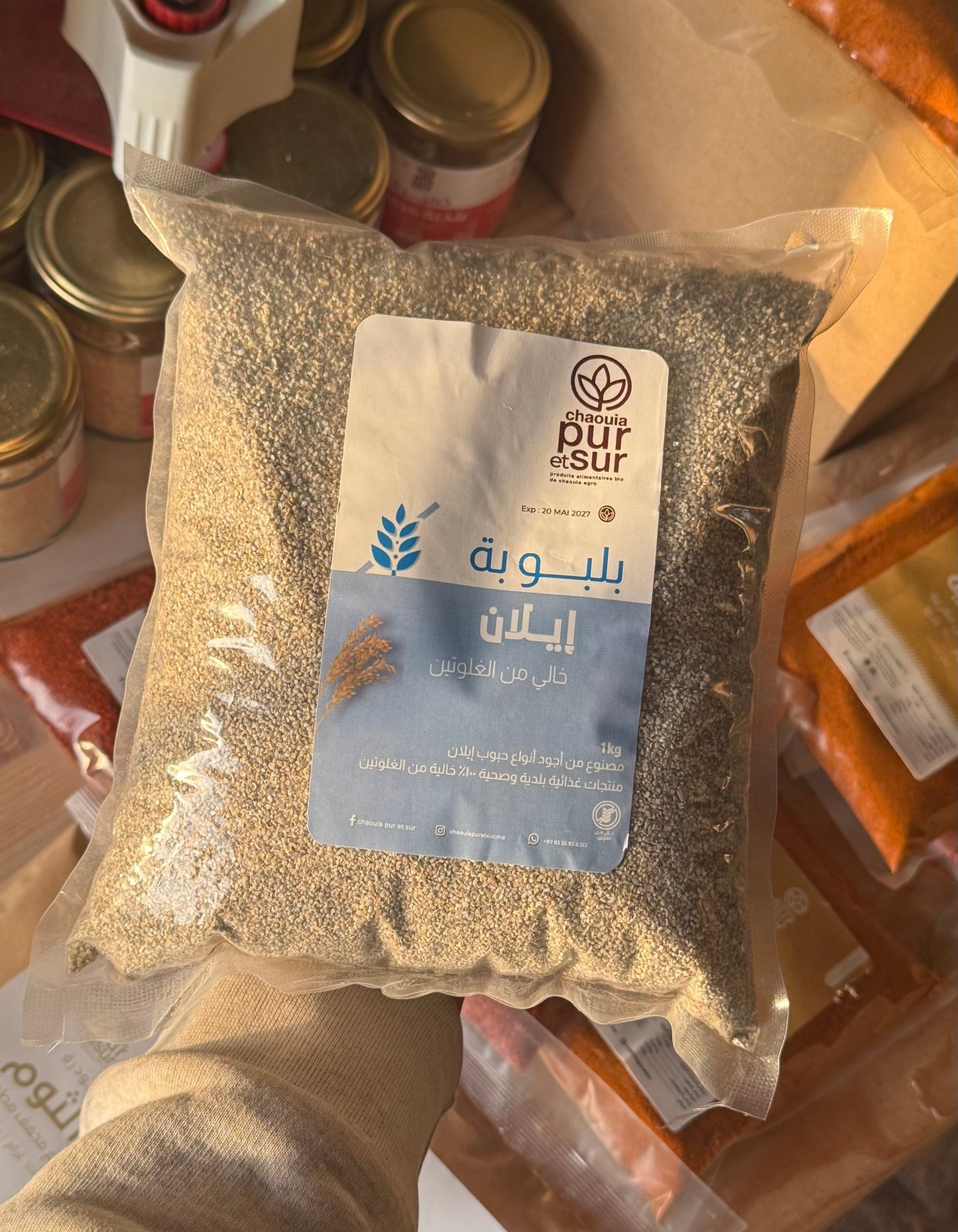 بلبولة إيلان