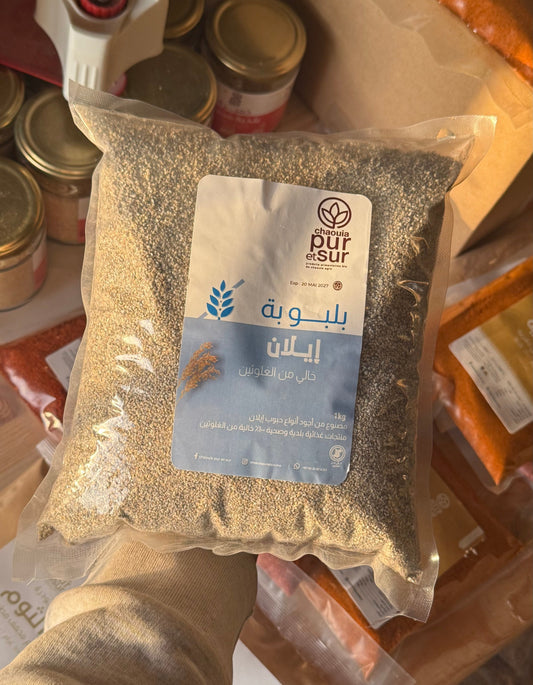بلبولة إيلان