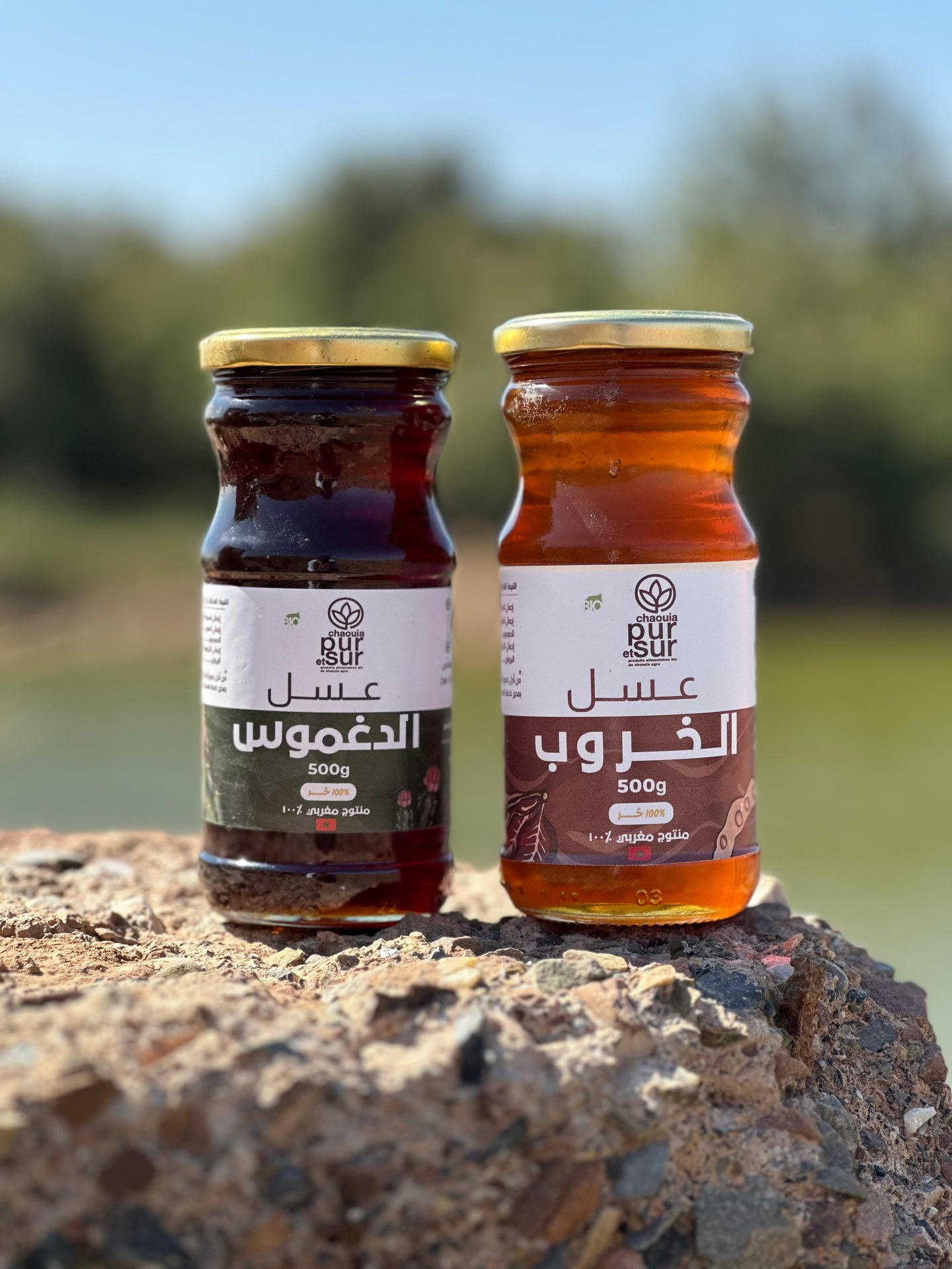 عسل الخروب