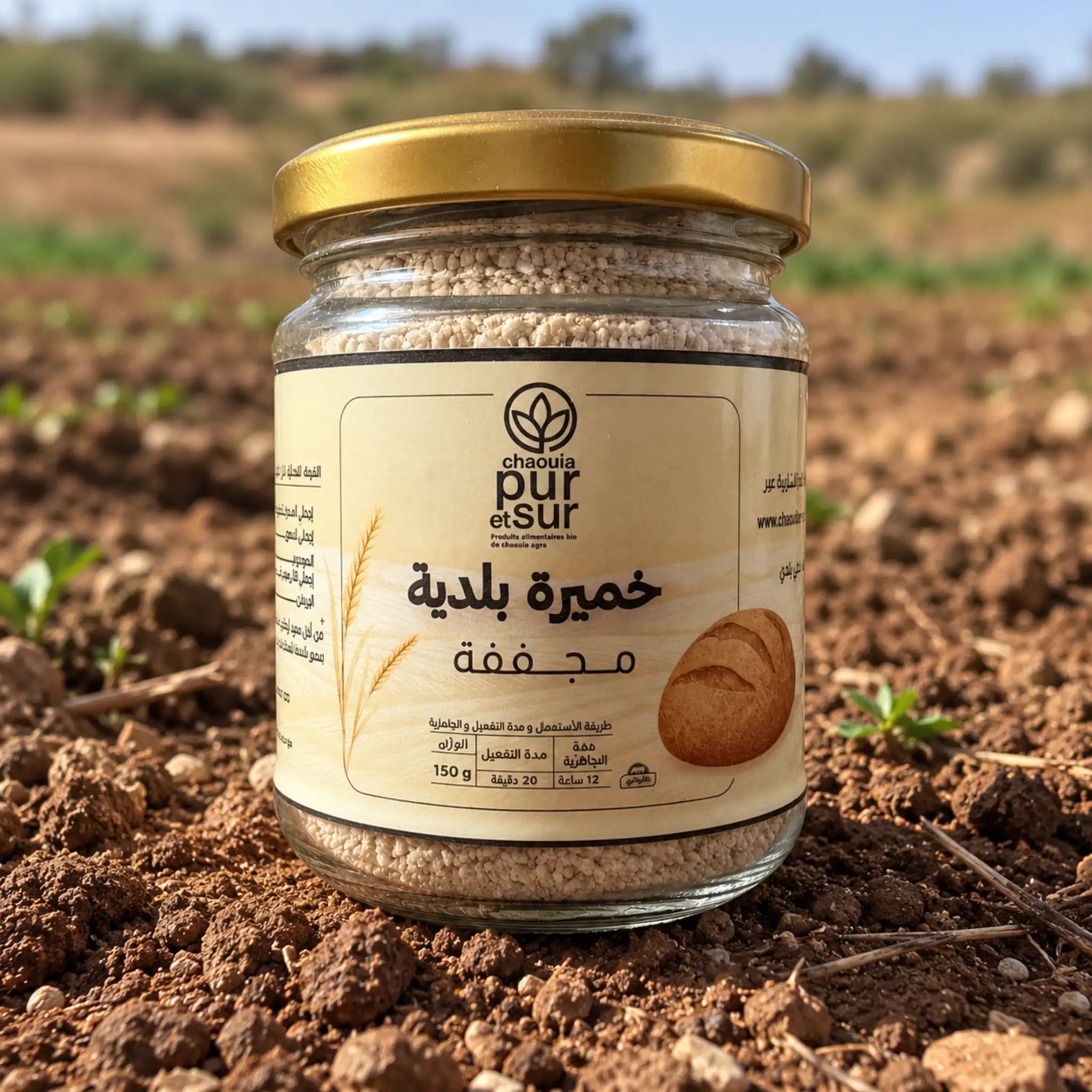 خميرة بلدية مجففة